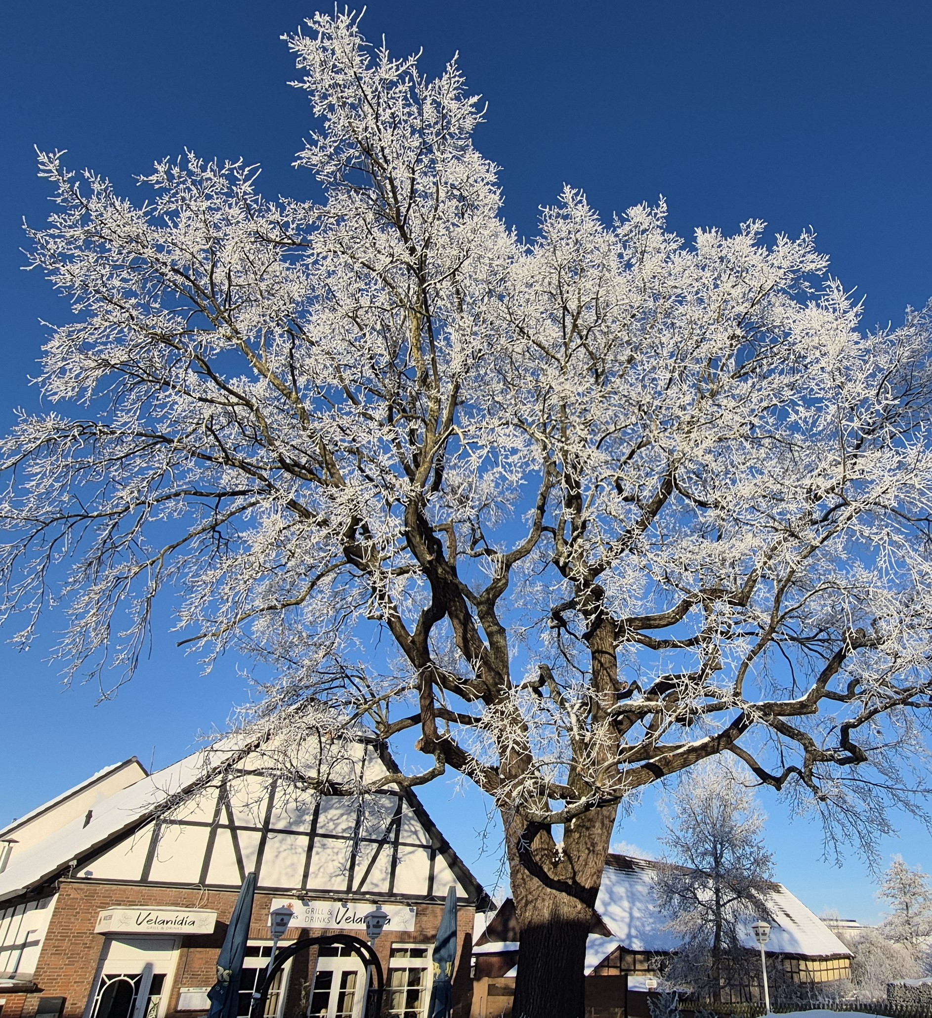 Braunkohlwanderung Samstag, 7. Febr. 2026
